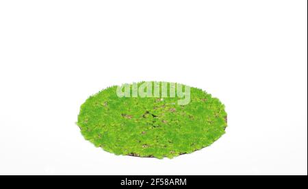 3d rendering. Cross section of circle with green grass isolated on white background. Stock Photo