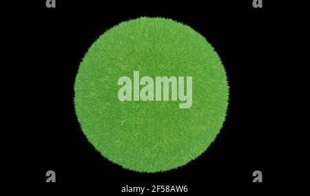 3d rendering. Green grass ball on a black background. Stock Photo