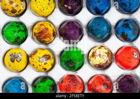 colorful easter quail eggs in box . top view flat lay . Minimal holiday concept. Stock Photo