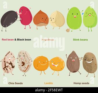 Vector of Bean, Nut, Seed - Red bean, Black bean, Hazelnut, Stink bean, Chia Seed, Lentil, Hemp seed. A set of cute colorful legume icon collection is Stock Vector