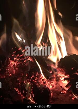 close-up of the flames of a fire Stock Photo