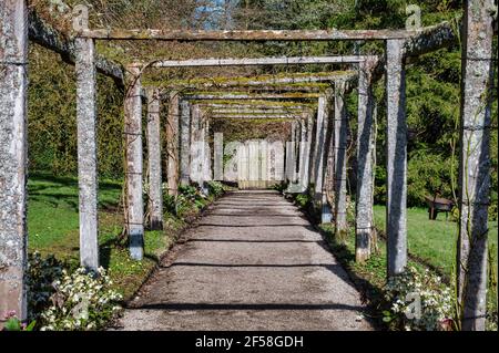 Covered Trellis in an Irish walled garden Stock Photo