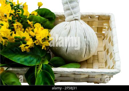 Closed up yellow flower of Burmese Rosewood or Pterocarpus indicus Willd,Burma Padauk and comoressing ball in basket isolated on white background.Save Stock Photo