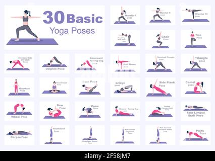 Yoga Poster Series - Top 362 Best Yoga Poses Poster | 14 Pages Spiral  Poster Series, English and Sanskrit Names - Walmart.com