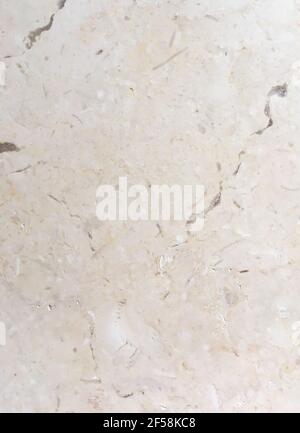new beige marble. Light beige natural marble stone surface with fossils Stock Photo