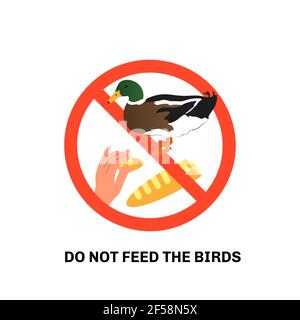 Prohibition sign with text do not feed the birds and hand giving bread to duck. Stock Vector