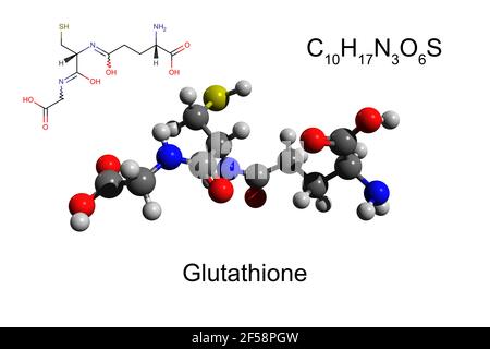 glutathione ball and stick synthesis hi-res stock photography images Glutathione Molecule Molecular Chemical Structural