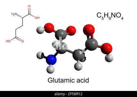 Chemical formula, structural formula and 3D ball-and-stick model of glutamic acid, white background Stock Photo