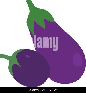 Brinjal Eggplant illustration vector isolated on white background Stock Vector