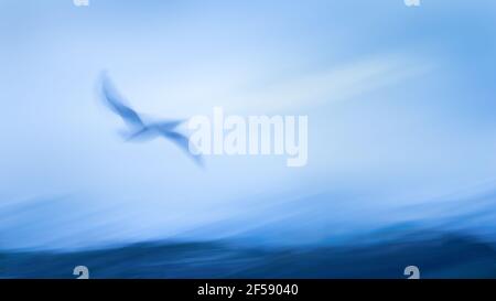 Impressionist image of seagull flying above the sea waves. Image captured using intentional camera movement technique for dreamy effect. Stock Photo