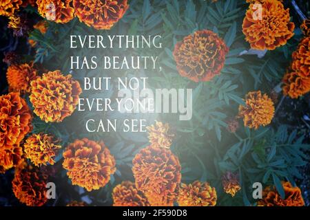 Motivational quote on blurred background of flowers Stock Photo
