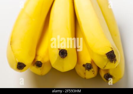 Bunch of bananas isolated on white background. Bunch of ripe yellow fresh bananas Stock Photo