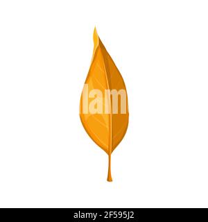 Autumn leaf yellow, fall isolated orange leaves Stock Vector