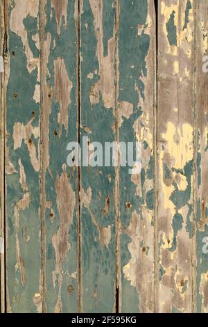 Wood with yellow and green flaking paint on door cracks in door portrait orientation Stock Photo