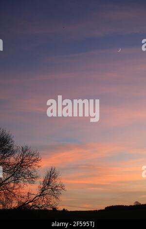 Pink clouds in blue sky with tree silhouette crescent moon and plane in sky, portrait Stock Photo