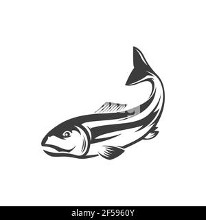 Atlantic salmon ray-finned fish, fishery sport Stock Vector