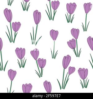 Vector floral seamless pattern background with crocus flowers. Stock Vector