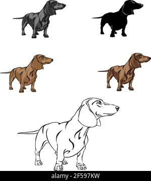 Dachshund, dachshund figure, vector, different positions, illustration, black and white, color, silhouette Stock Vector