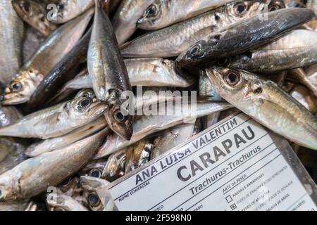 Fresh Carapau in Algarve Fish Market, Portugal Stock Photo