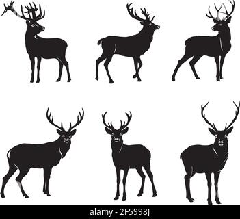 Deer, deer drawing, portrait, vector, illustration, black and white, silhouette Stock Vector