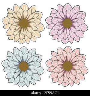 Vector illustration with flowers. Isolated objects on a white background. Stock Vector