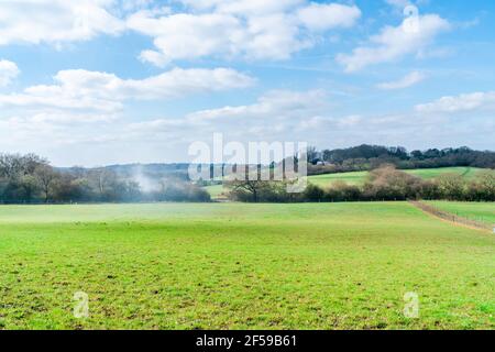 View of open space along Dollis Valley Greenwalk route in London, England, near Moat Mount Open Space in Mill Hill Stock Photo