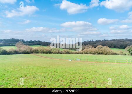 View of open space along Dollis Valley Greenwalk route in London, England, near Moat Mount Open Space in Mill Hill Stock Photo