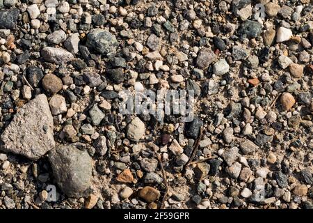 colored pebblestone as a background Stock Photo