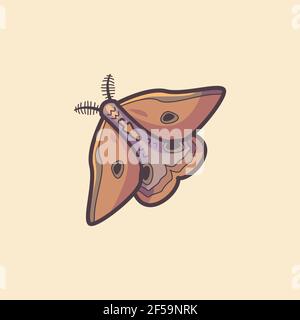 moth illustration. premium cartoon insect Stock Vector