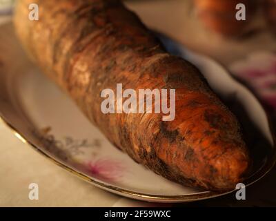 Fresh organic sand carrot with soil Stock Photo