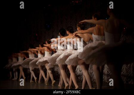 Ballerinas are in a row. The girls are lined up one after the other on the stage. Ballerinas in white tutus have their backs to the camera. Girls perf Stock Photo