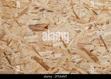 Pressed wooden shavings panel background, texture of oriented strand board, OSB. Stock Photo