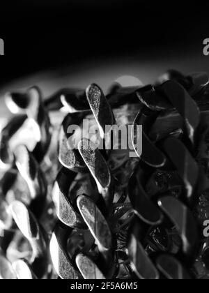 Cuban link silver chain on black background. Stock Photo