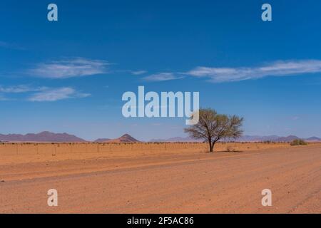 Desert landscape at the Namib-Naukluft National park, Namibia, southern Africa, background blue sky with clouds Stock Photo
