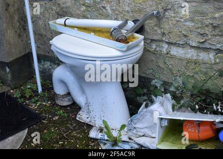 abandoned toilet and cistern Stock Photo