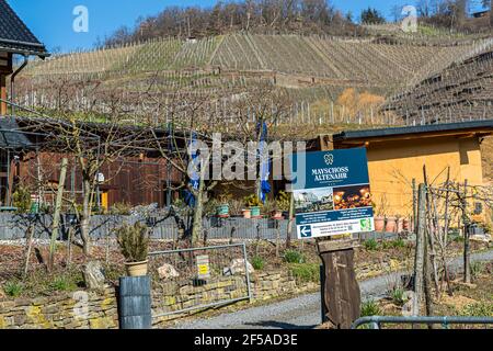 Hiking trails on the Ahr near Mayschoss, Germany Stock Photo