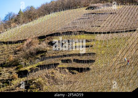 Hiking trails on the Ahr near Mayschoss, Germany Stock Photo