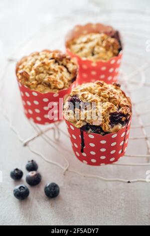 Food: Blueberry lemon buttermilk oatmeal muffins on a cooling rack Stock Photo