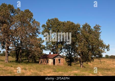 An abandoned stone farmhouse sits under trees in a field near the Route 66 community of Halltown, Missouri. Stock Photo