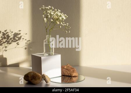 A branch of a gypsophila flower standing on a white paper cube and stones Stock Photo