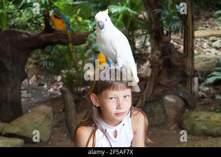 A 5-10 year old girl with a white parrot ara on her head full fa Stock Photo