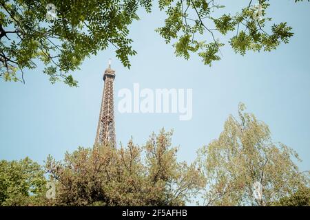 Eiffel tower seen through branches Stock Photo