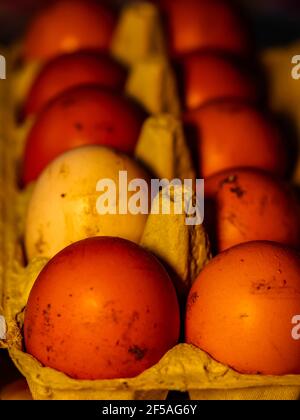 The chicken eggs in the panel are placed on a brown wooden background. Stock Photo