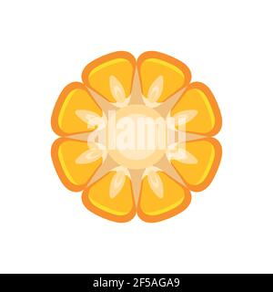 Corn seeds vector cartoon flat illustration isolated on white background. In the context. Stock Vector