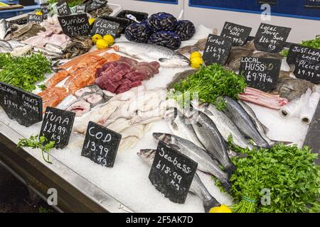 Fresh fish on sale at the seafood market in the harbour at Whitstable, Kent UK Stock Photo