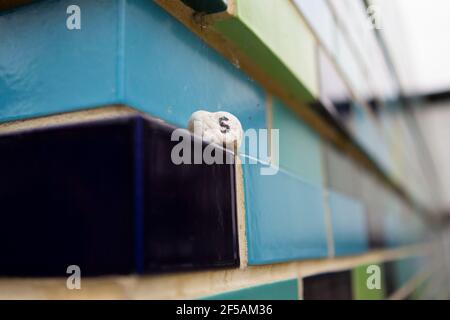 blue ceramic wall tiles with tiny number '5' Stock Photo