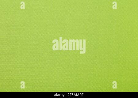 Green paper, texture background, high detailed Stock Photo
