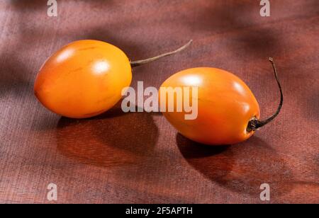 Tamarillo tree tomato exotic fruit - Solanum betaceum Stock Photo