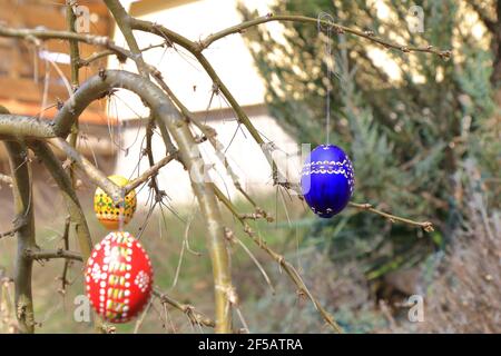 painted and colored easter eggs hanging on twigs Stock Photo