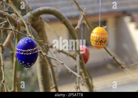 painted and colored easter eggs hanging on twigs Stock Photo